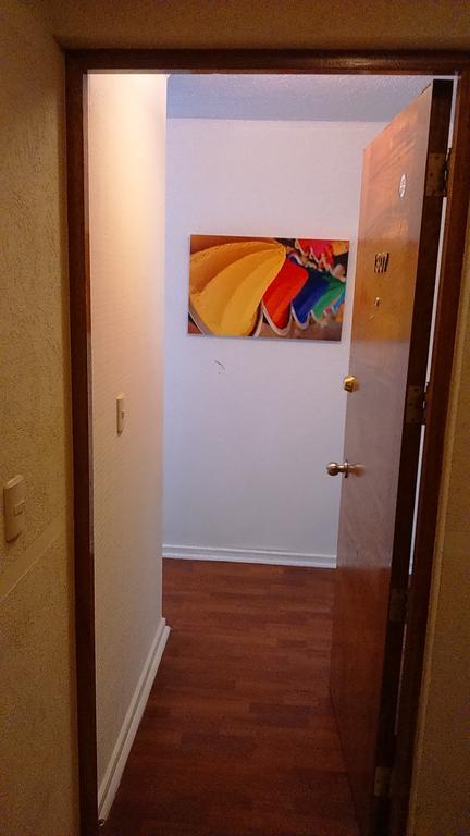 Apartmán Departamento Paseo Bulnes Metro La Moneda Santiago de Chile Pokoj fotografie